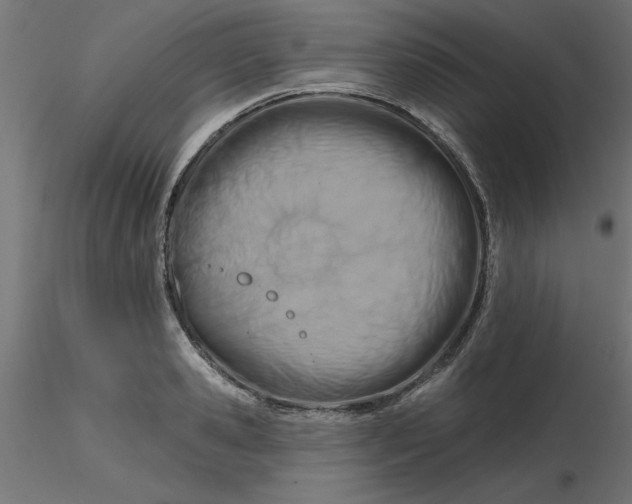 X0000116670941200912291655