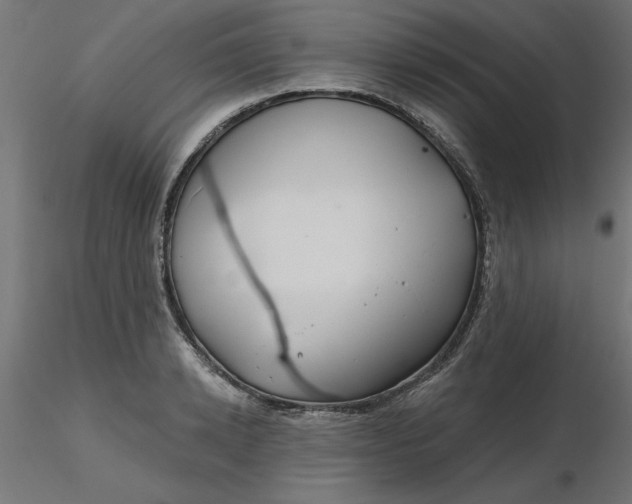 X0000116670942200912291655