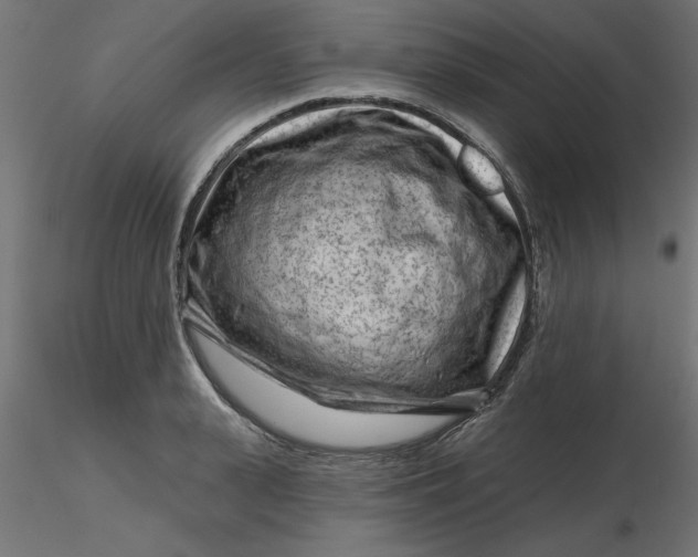 X0000116670943200912291655