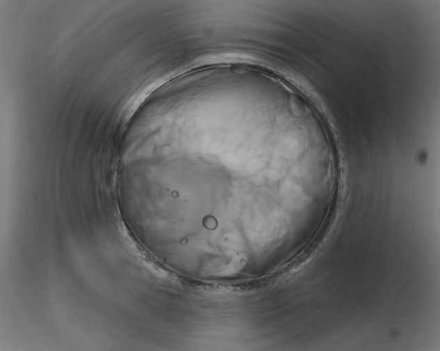 X0000116670945200912291655