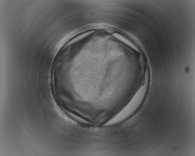 X0000116670946200912291655