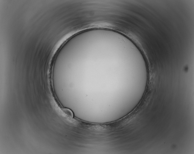 X0000116670947200912291655