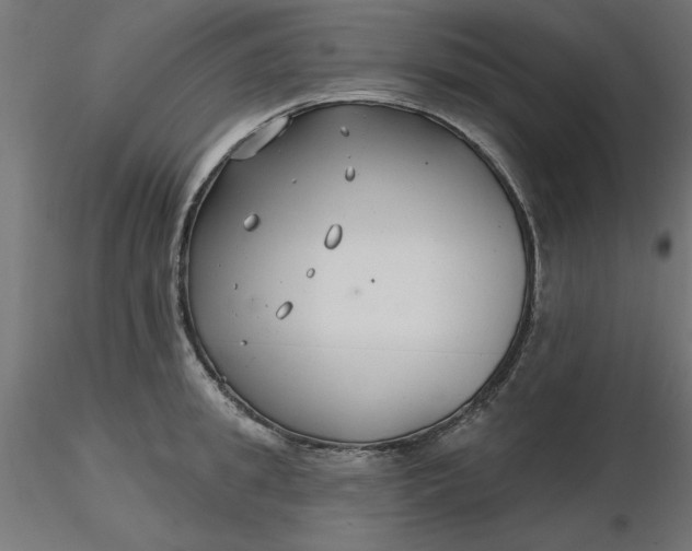 X0000116670949200912291655