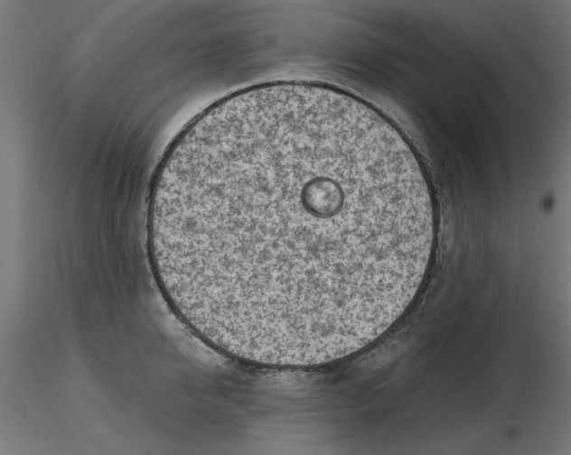 X0000116670950200912291655