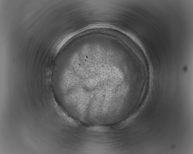 X0000116670953200912291655