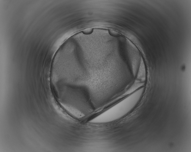 X0000116670954200912291655