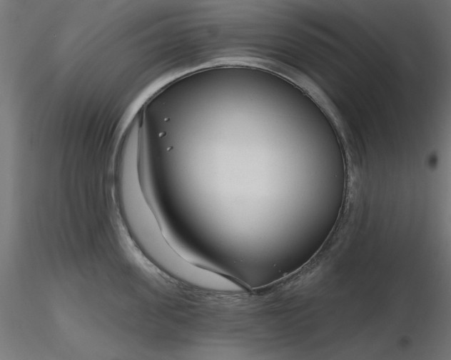 X0000116670955200912291655