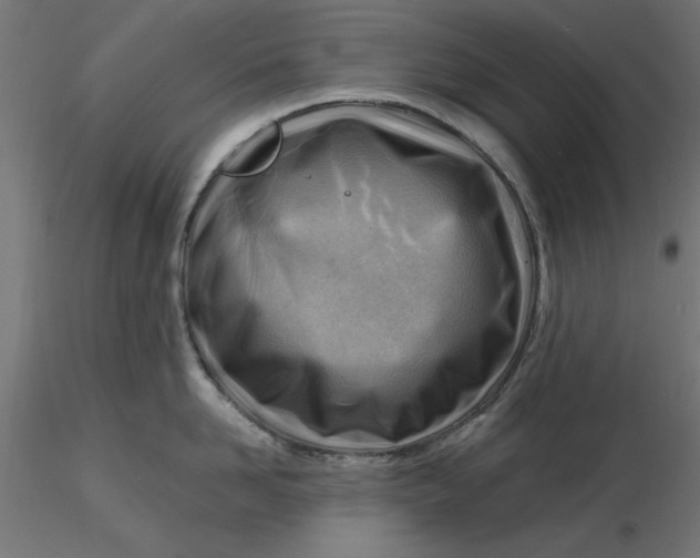 X0000116670958200912291655