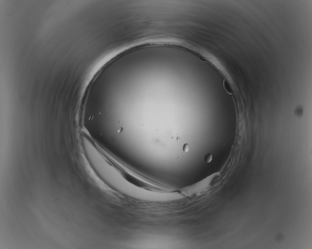 X0000116670959200912291655