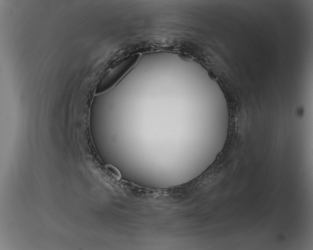 X0000116670961200912291655