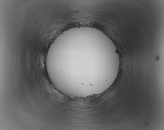 X0000116670962200912291655