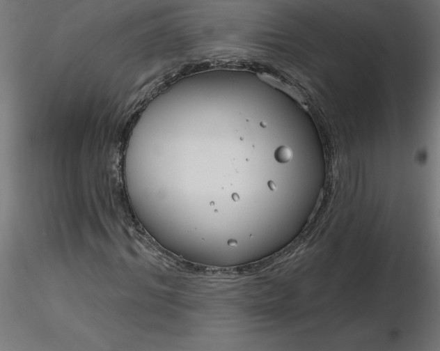 X0000116670964200912291655