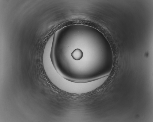 X0000116670965200912291655