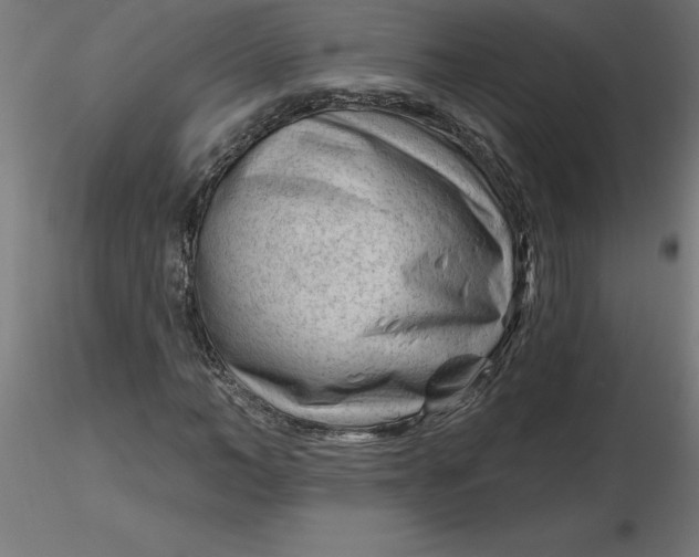 X0000116670966200912291655