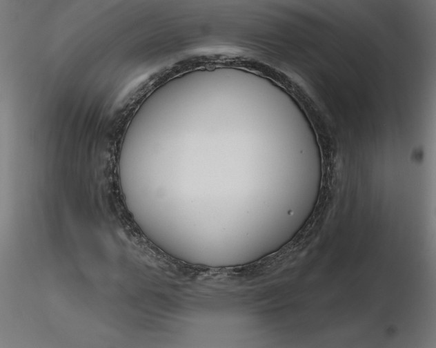 X0000116670967200912291655