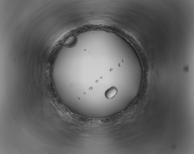 X0000116670968200912291655