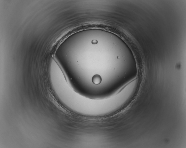 X0000116670969200912291655