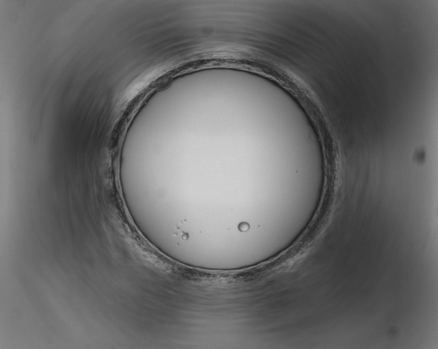 X0000116670970200912291655