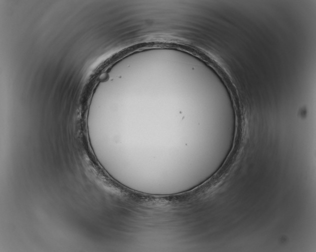 X0000116670971200912291655