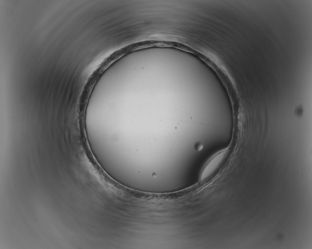 X0000116670972200912291655