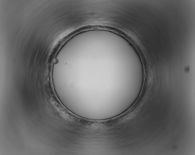 X0000116670974200912291655