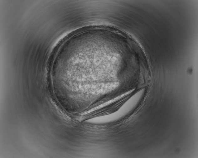 X0000116670975200912291655