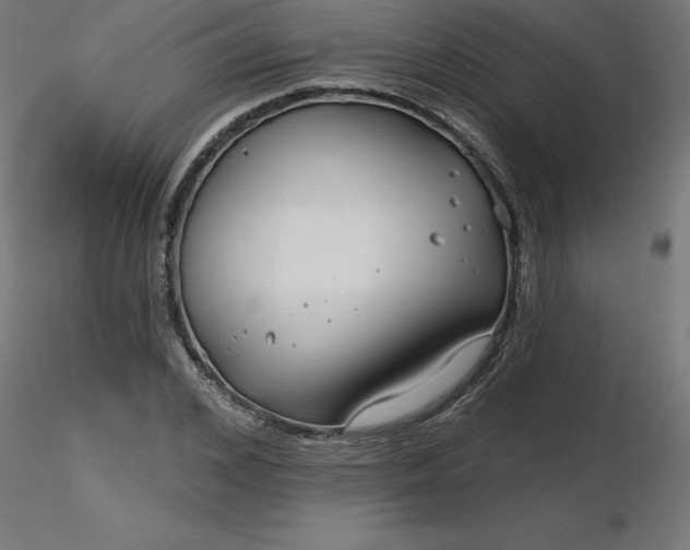 X0000116670976200912291655