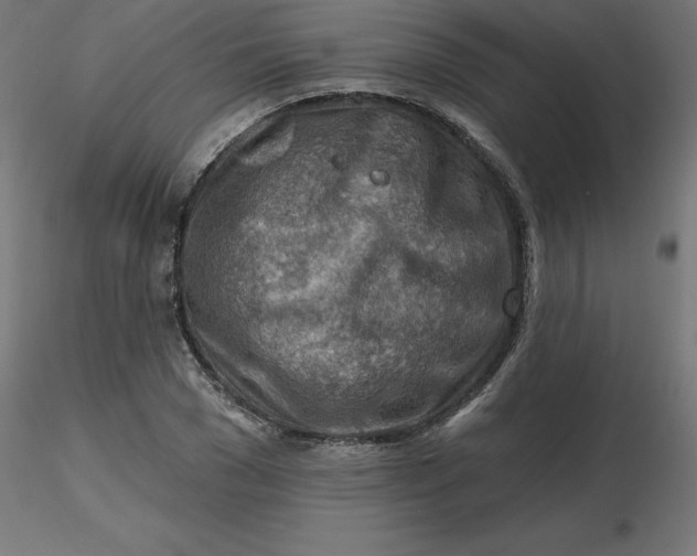 X0000116670977200912291655