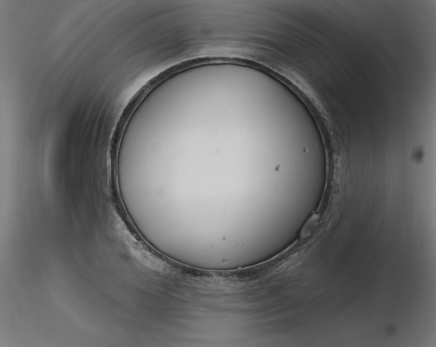 X0000116670980200912291655