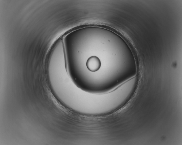 X0000116670981200912291655