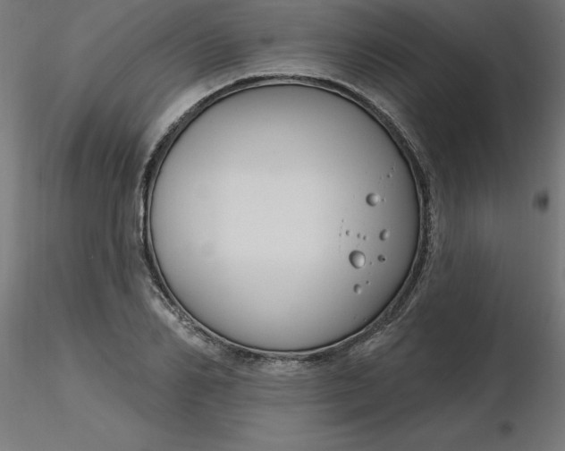 X0000116670982200912291655