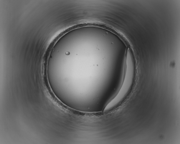 X0000116670983200912291655