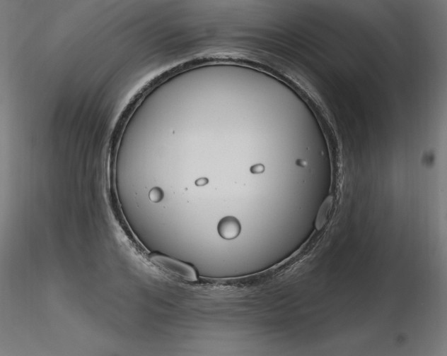 X0000116670984200912291655