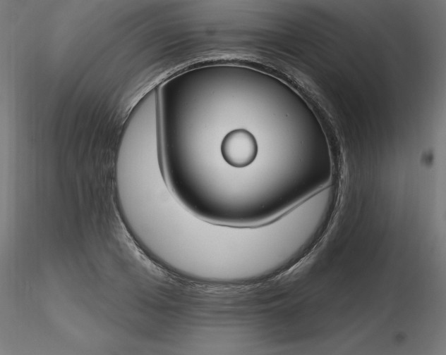 X0000116670985200912291654