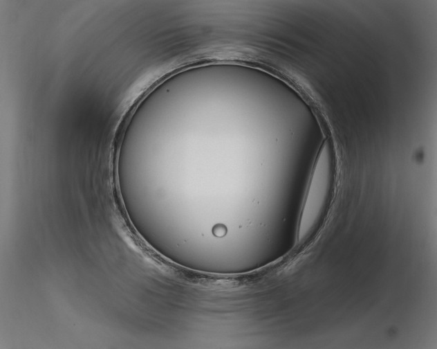 X0000116670986200912291654