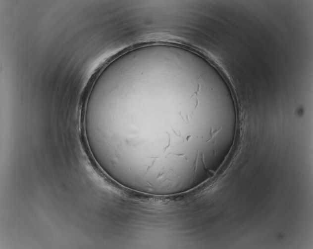 X0000116670987200912291654