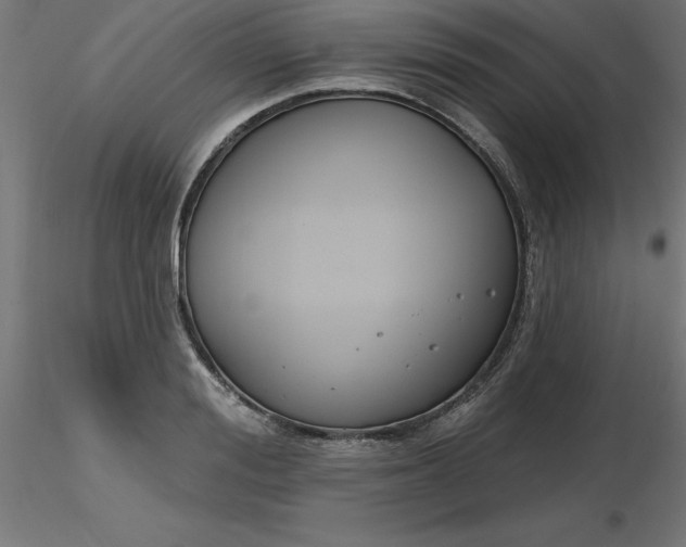 X0000116670988200912291654