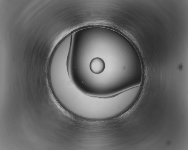 X0000116670989200912291654