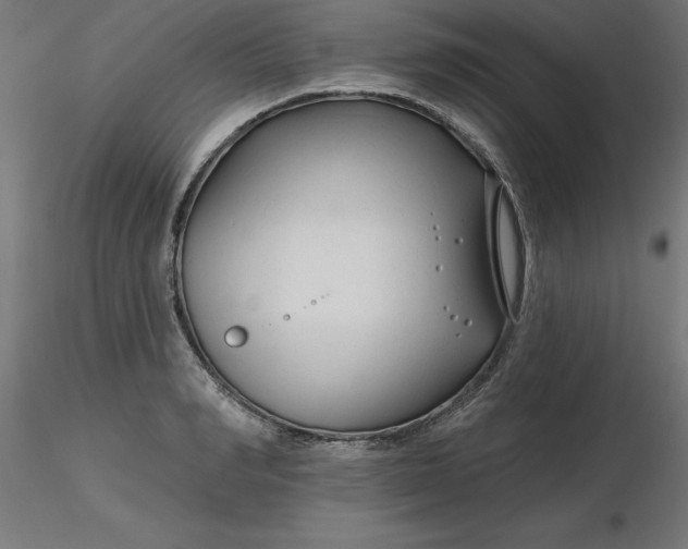 X0000116670990200912291654