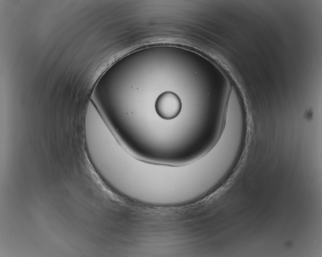 X0000116670993200912291654