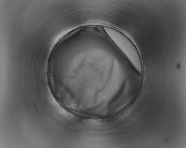 X0000116670995200912291654