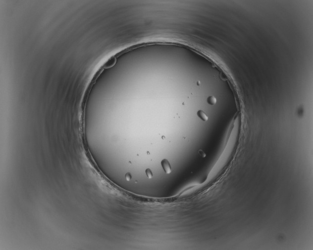 X0000116670996200912291654