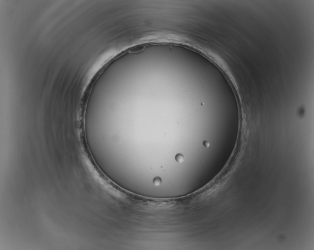 X0000116670997200912291654