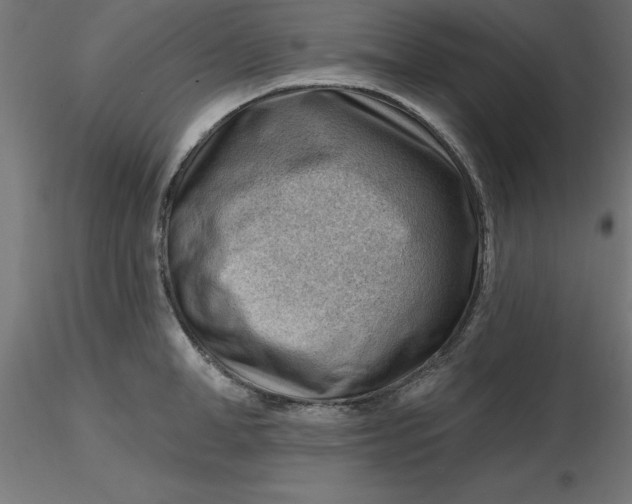 X0000116670998200912291654