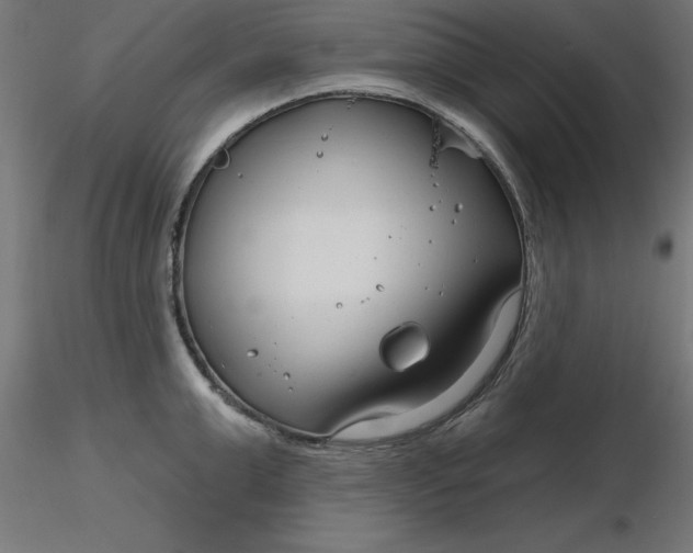 X0000116670999200912291654