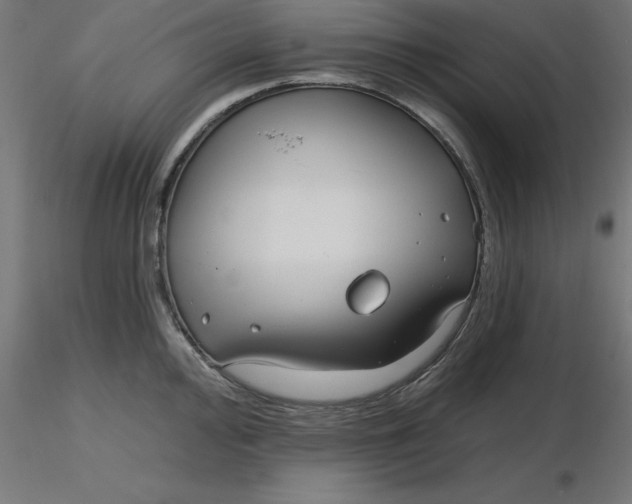 X0000116671000200912291654