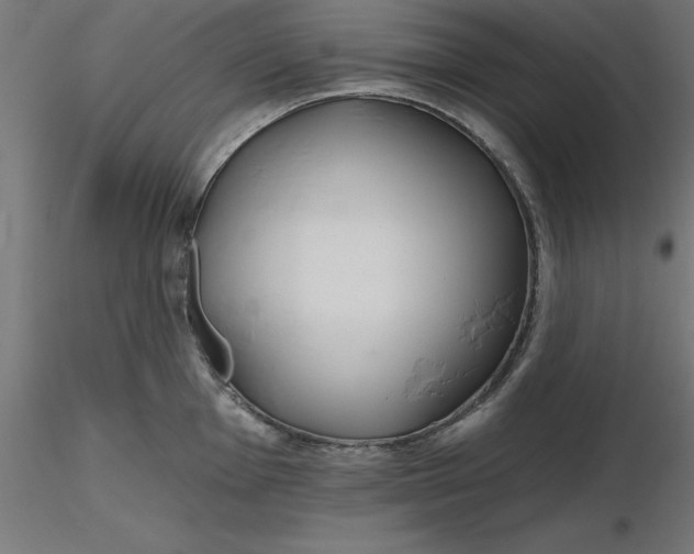 X0000116671001200912291654