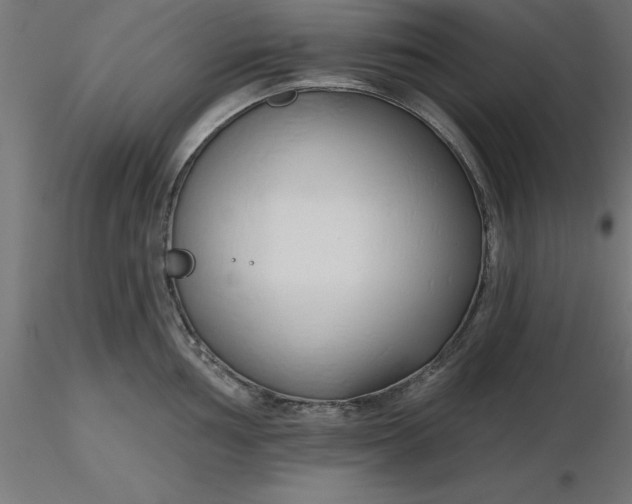 X0000116671002200912291654