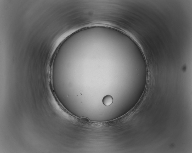 X0000116671003200912291654