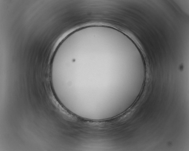 X0000116671004200912291654